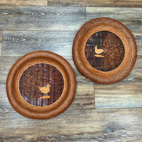 Vintage Set of 2 Wicker Rattan Beaded Peacock Bird Round Wall Art Hangings - Picture 1 of 10